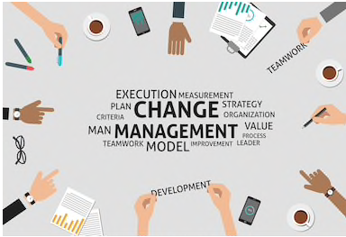change management services
